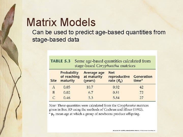 Matrix Models Can be used to predict age-based quantities from stage-based data 