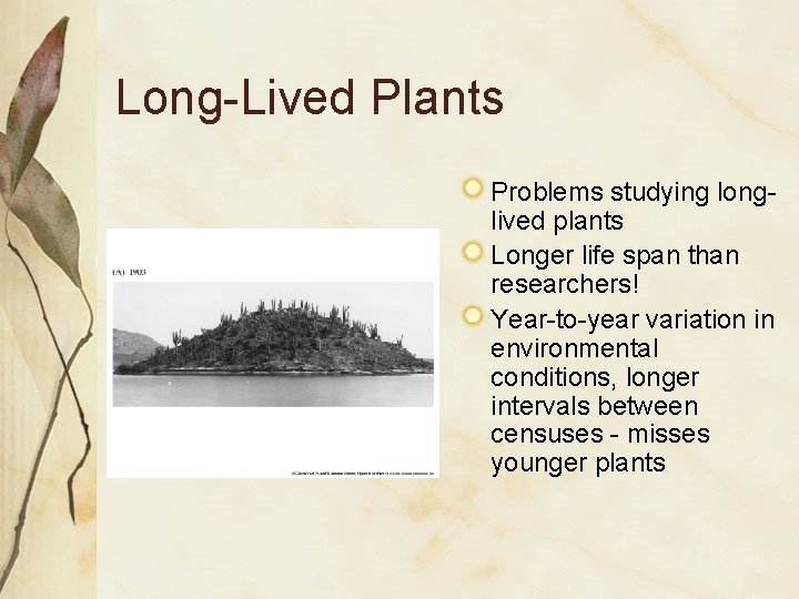 Long-Lived Plants Problems studying longlived plants Longer life span than researchers! Year-to-year variation in