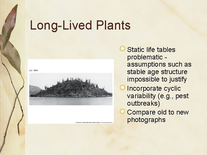 Long-Lived Plants Static life tables problematic assumptions such as stable age structure impossible to