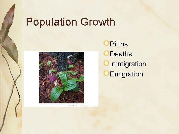Population Growth Births Deaths Immigration Emigration 