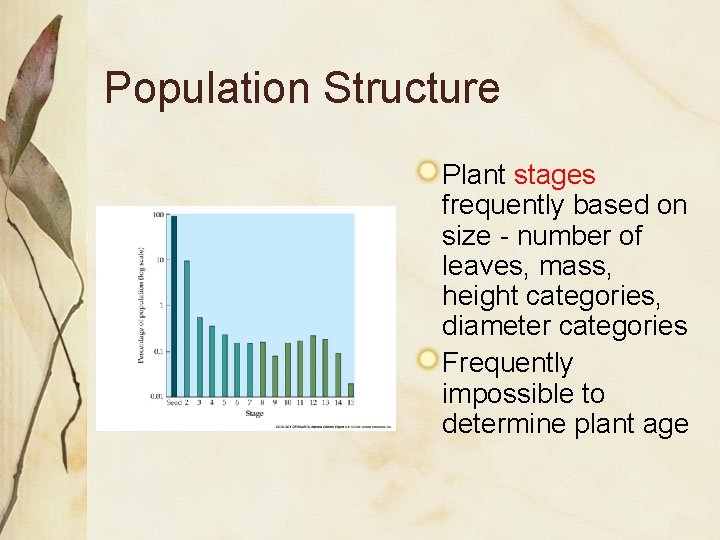 Population Structure Plant stages frequently based on size - number of leaves, mass, height