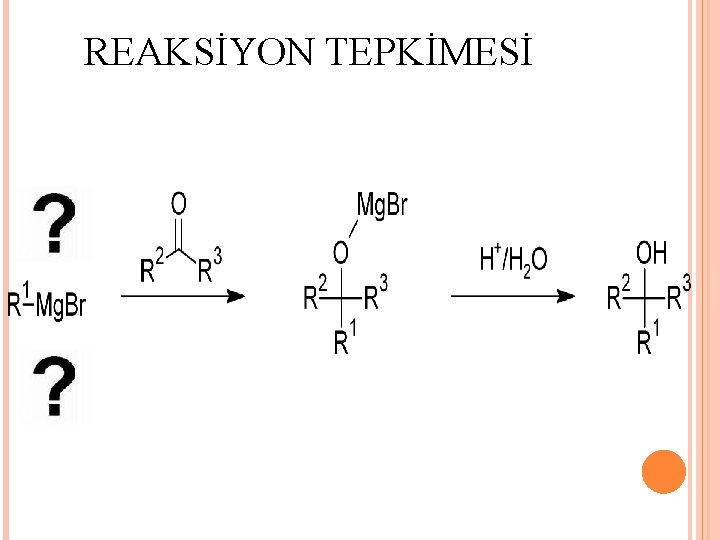 REAKSİYON TEPKİMESİ 