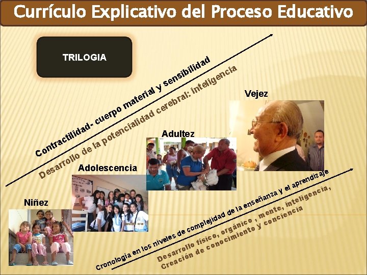 Proyectos Pedagógicos Socio Productivos Currículo Explicativo del Proceso Educativo TRILOGIA d sib n ria