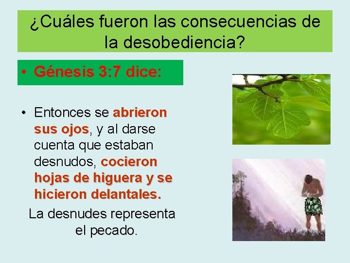 ¿Cuáles fueron las consecuencias de la desobediencia? • Génesis 3: 7 dice: • Entonces