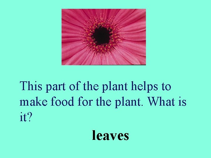 This part of the plant helps to make food for the plant. What is