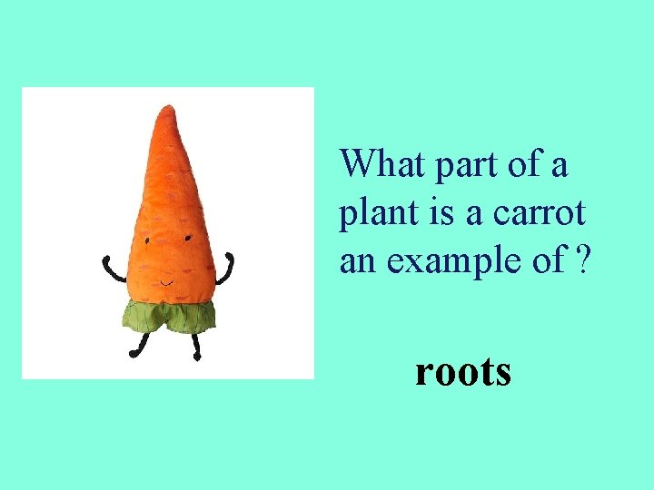 What part of a plant is a carrot an example of ? roots 