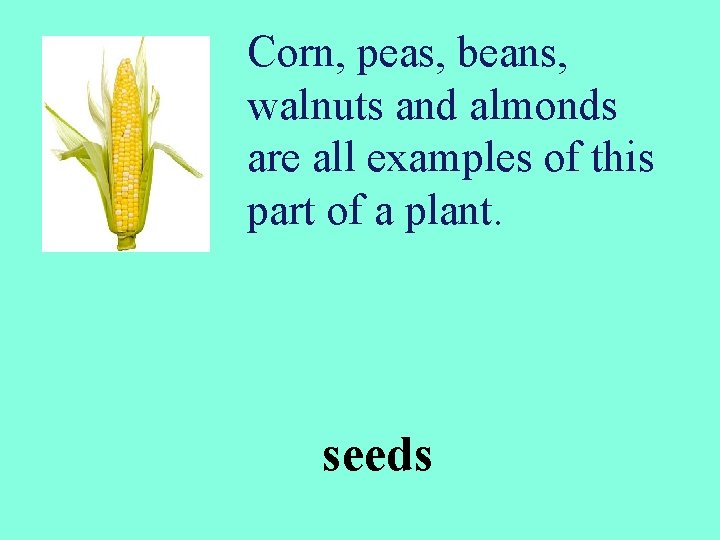 Corn, peas, beans, walnuts and almonds are all examples of this part of a