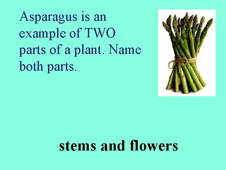 Asparagus is an example of TWO parts of a plant. Name both parts. stems