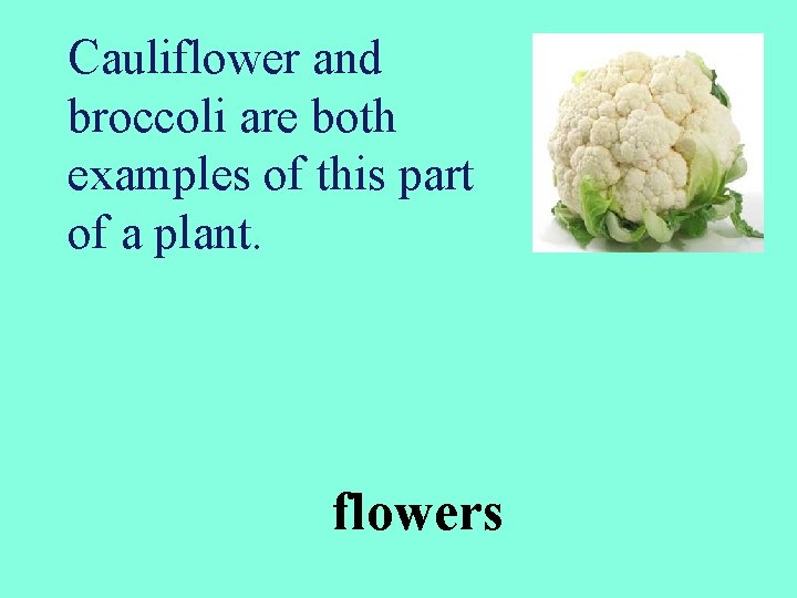 Cauliflower and broccoli are both examples of this part of a plant. flowers 