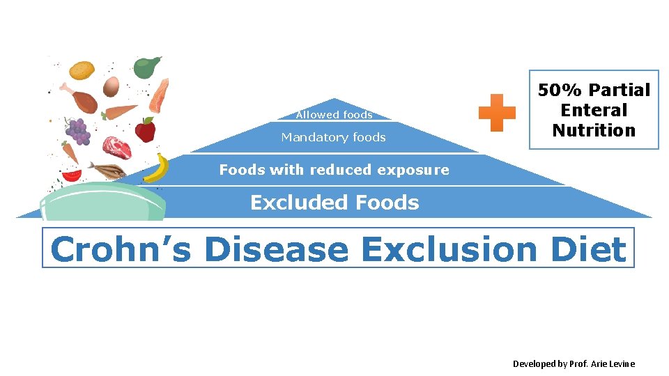 Allowed foods Mandatory foods 50% Partial Enteral Nutrition Foods with reduced exposure Excluded Foods