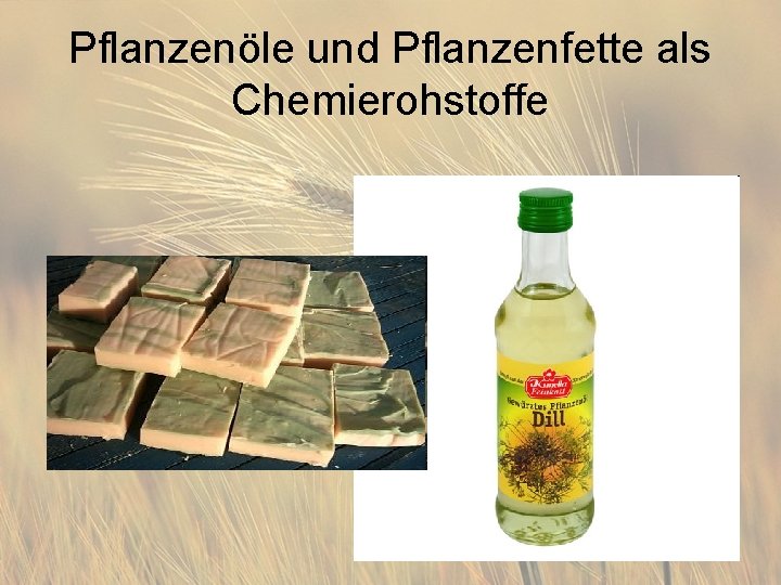 Pflanzenöle und Pflanzenfette als Chemierohstoffe 