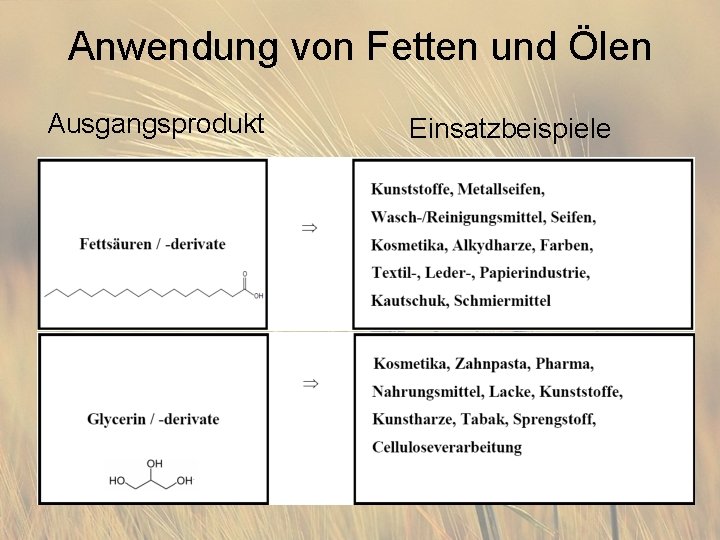 Anwendung von Fetten und Ölen Ausgangsprodukt Einsatzbeispiele 