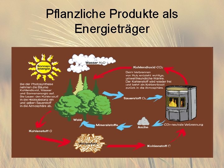 Pflanzliche Produkte als Energieträger 