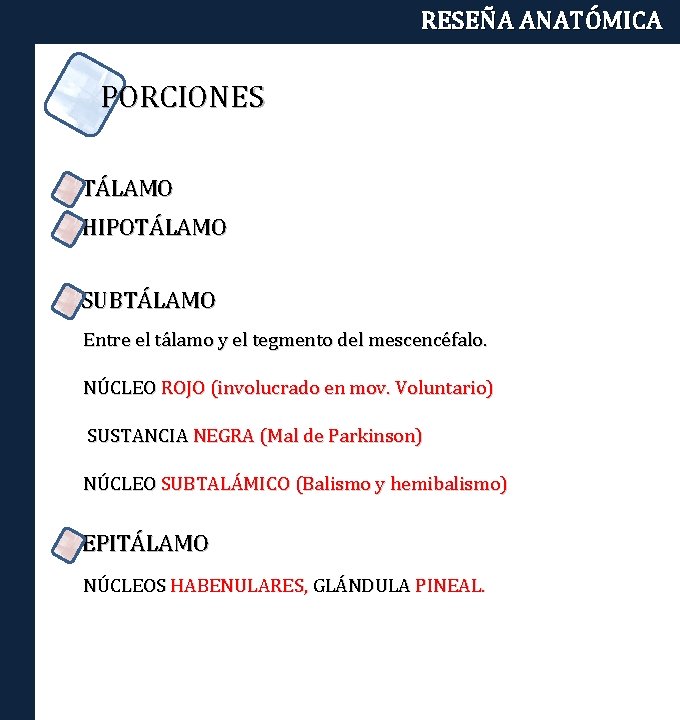 RESEÑA ANATÓMICA PORCIONES TÁLAMO HIPOTÁLAMO SUBTÁLAMO Entre el tálamo y el tegmento del mescencéfalo.