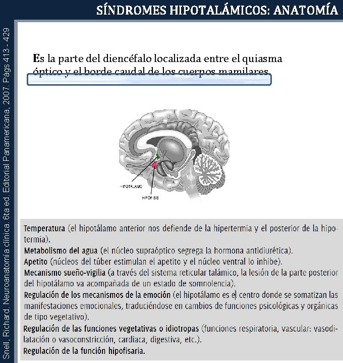 Snell, Richard. Neuroanatomía clínica. 6 ta ed. Editorial Panamericana, 2007. Págs 413 - 429