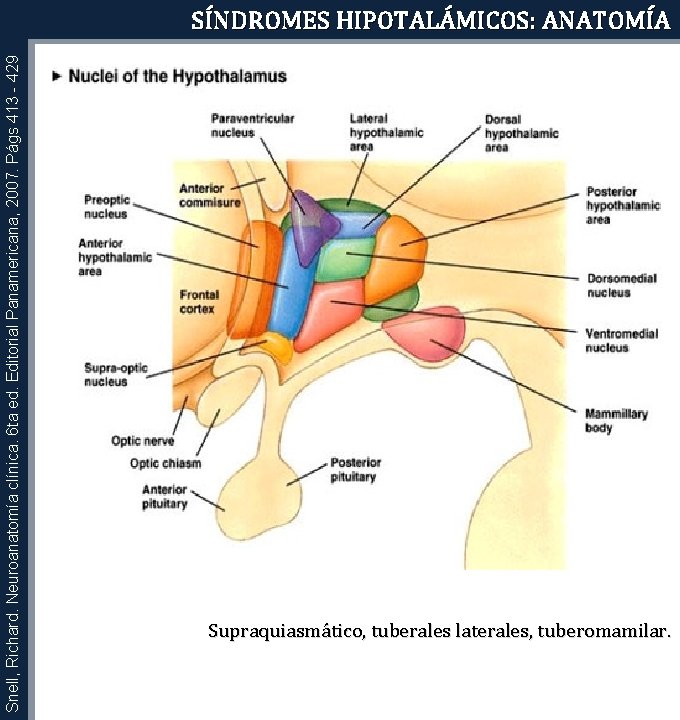 Snell, Richard. Neuroanatomía clínica. 6 ta ed. Editorial Panamericana, 2007. Págs 413 - 429