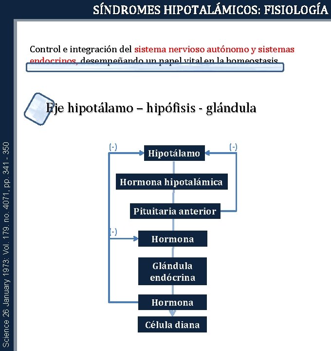 SÍNDROMES HIPOTALÁMICOS: FISIOLOGÍA Control e integración del sistema nervioso autónomo y sistemas endocrinos, desempeñando