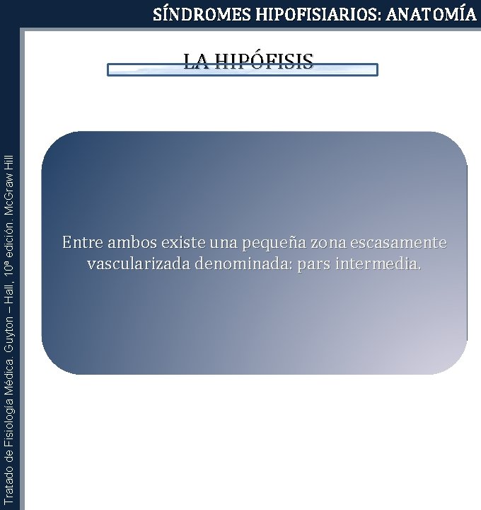 SÍNDROMES HIPOFISIARIOS: ANATOMÍA Tratado de Fisiología Médica. Guyton – Hall, 10ª edición. Mc. Graw