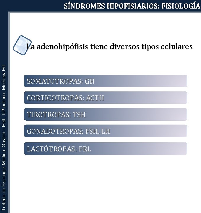 SÍNDROMES HIPOFISIARIOS: FISIOLOGÍA Tratado de Fisiología Médica. Guyton – Hall, 10ª edición. Mc. Graw