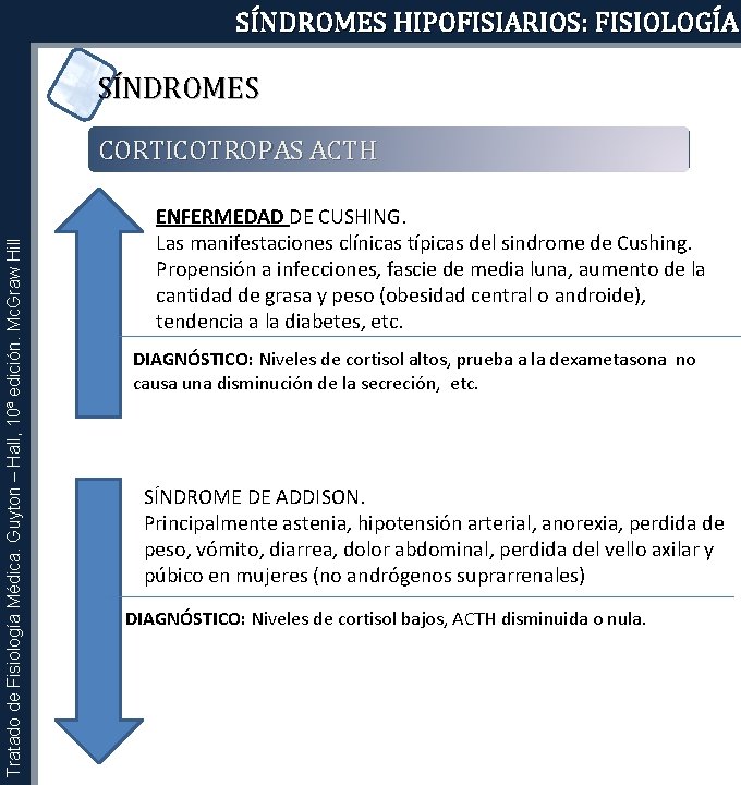 SÍNDROMES HIPOFISIARIOS: FISIOLOGÍA SÍNDROMES Tratado de Fisiología Médica. Guyton – Hall, 10ª edición. Mc.