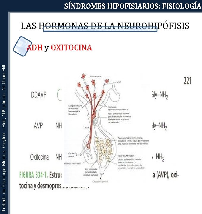 SÍNDROMES HIPOFISIARIOS: FISIOLOGÍA LAS HORMONAS DE LA NEUROHIPÓFISIS Tratado de Fisiología Médica. Guyton –