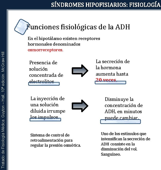 SÍNDROMES HIPOFISIARIOS: FISIOLOGÍA Tratado de Fisiología Médica. Guyton – Hall, 10ª edición. Mc. Graw