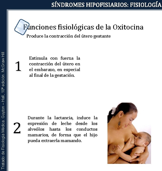 SÍNDROMES HIPOFISIARIOS: FISIOLOGÍA Funciones fisiológicas de la Oxitocina Tratado de Fisiología Médica. Guyton –