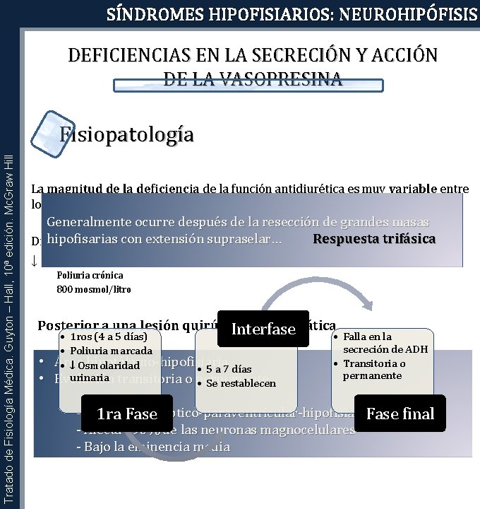 SÍNDROMES HIPOFISIARIOS: NEUROHIPÓFISIS DEFICIENCIAS EN LA SECRECIÓN Y ACCIÓN DE LA VASOPRESINA Tratado de