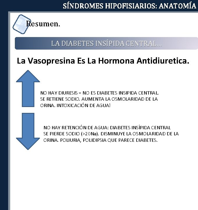 SÍNDROMES HIPOFISIARIOS: ANATOMÍA Resumen. LA DIABETES INSÍPIDA CENTRAL… La Vasopresina Es La Hormona Antidiuretica.