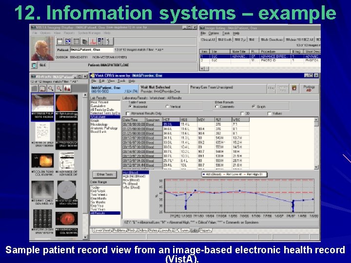 12. Information systems – example Sample patient record view from an image-based electronic health