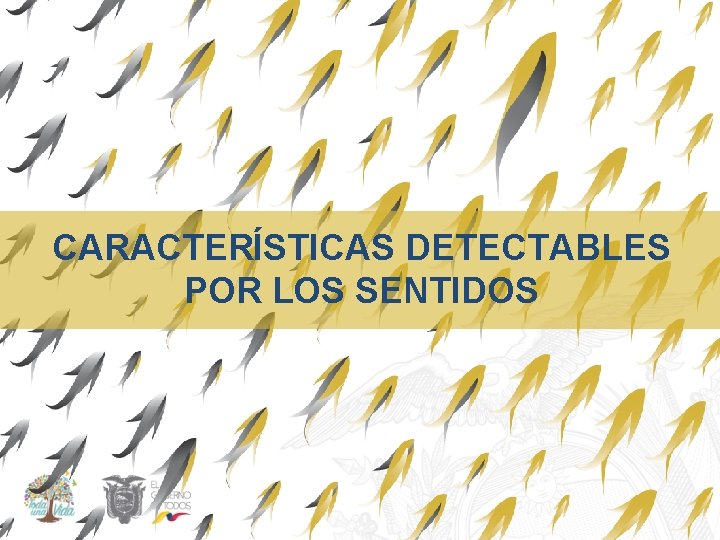 CARACTERÍSTICAS DETECTABLES POR LOS SENTIDOS 