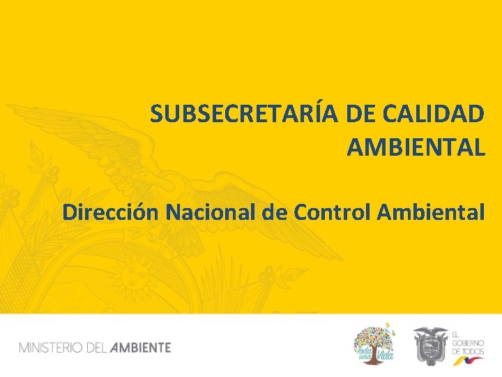 SUBSECRETARÍA DE CALIDAD AMBIENTAL Dirección Nacional de Control Ambiental 