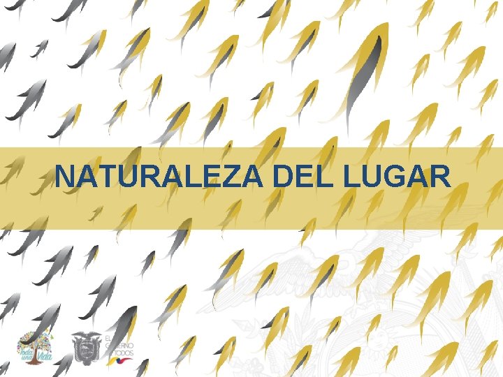 NATURALEZA DEL LUGAR 