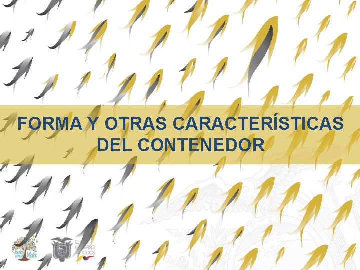 FORMA Y OTRAS CARACTERÍSTICAS DEL CONTENEDOR 