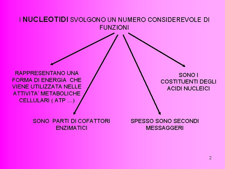I NUCLEOTIDI SVOLGONO UN NUMERO CONSIDEREVOLE DI FUNZIONI RAPPRESENTANO UNA FORMA DI ENERGIA CHE