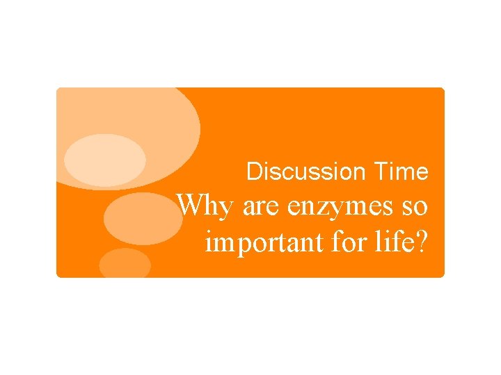 Discussion Time Why are enzymes so important for life? 