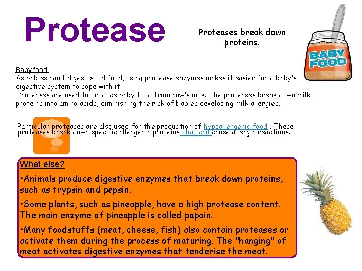 Proteases break down proteins. Baby food: As babies can’t digest solid food, using protease