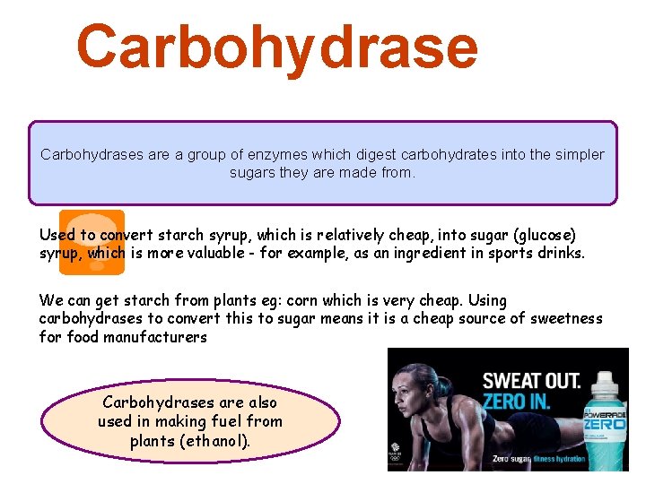 Carbohydrases are a group of enzymes which digest carbohydrates into the simpler sugars they