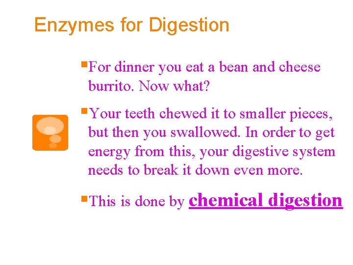 Enzymes for Digestion §For dinner you eat a bean and cheese burrito. Now what?