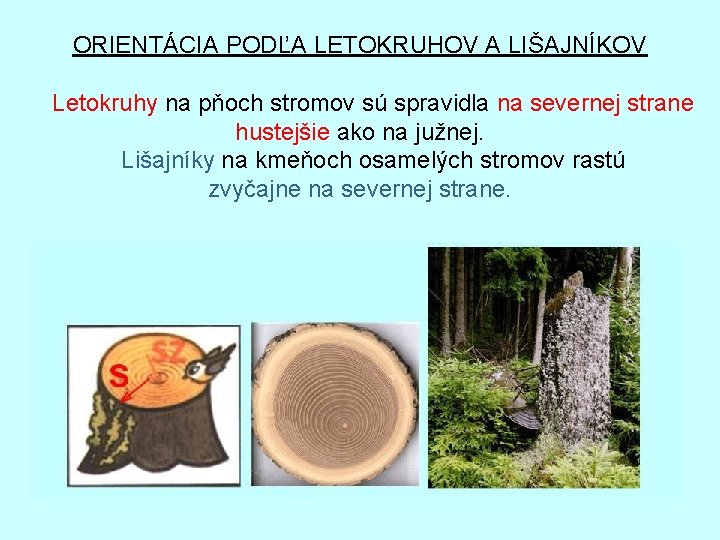 ORIENTÁCIA PODĽA LETOKRUHOV A LIŠAJNÍKOV Letokruhy na pňoch stromov sú spravidla na severnej strane