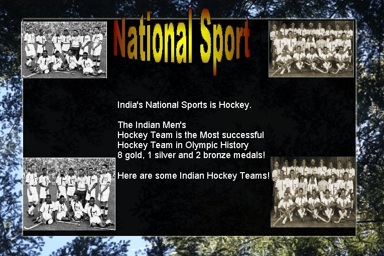 India's National Sports is Hockey. The Indian Men's Hockey Team is the Most successful