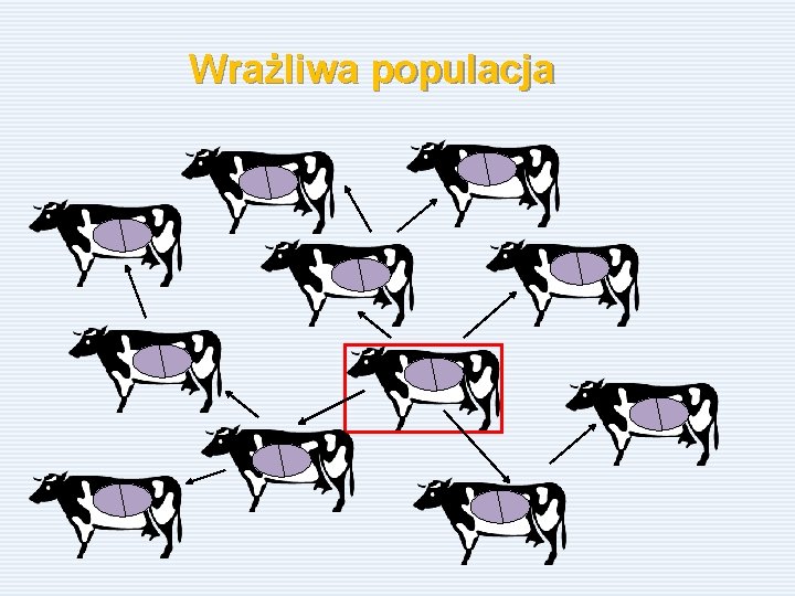 Wrażliwa populacja 