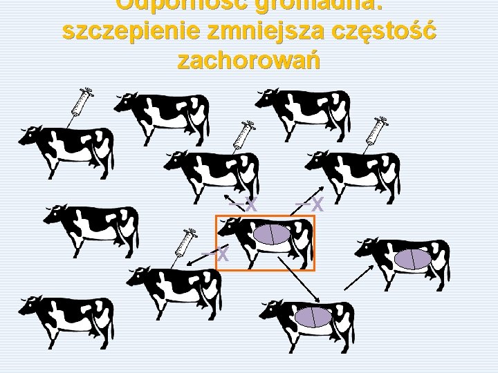 Odporność gromadna: szczepienie zmniejsza częstość zachorowań –x –x –x 