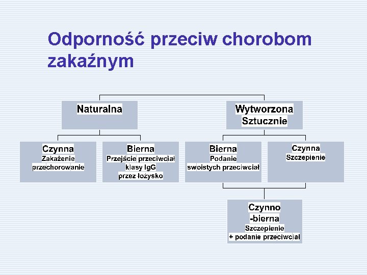 Odporność przeciw chorobom zakaźnym 