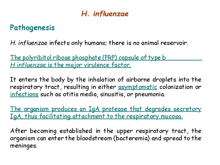 H. influenzae Pathogenesis H. influenzae infects only humans; there is no animal reservoir. The