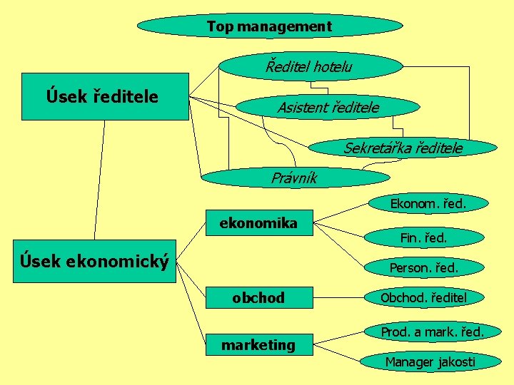 Top management Ředitel hotelu Úsek ředitele Asistent ředitele Sekretářka ředitele Právník Ekonom. řed. ekonomika