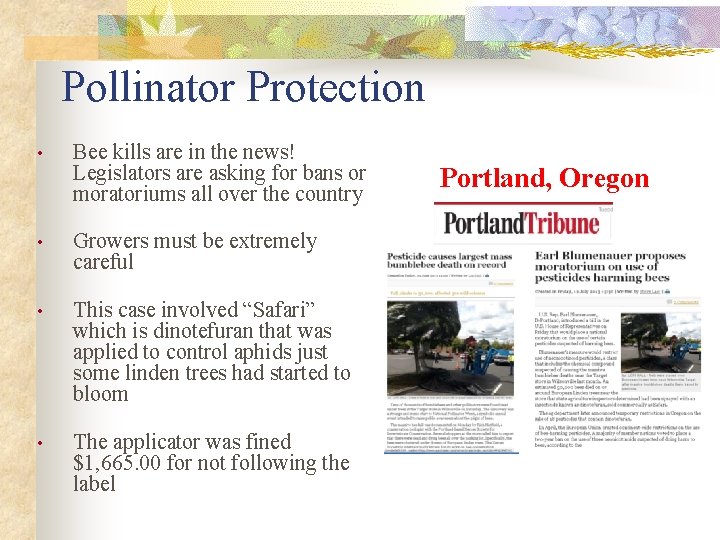 Pollinator Protection • Bee kills are in the news! Legislators are asking for bans