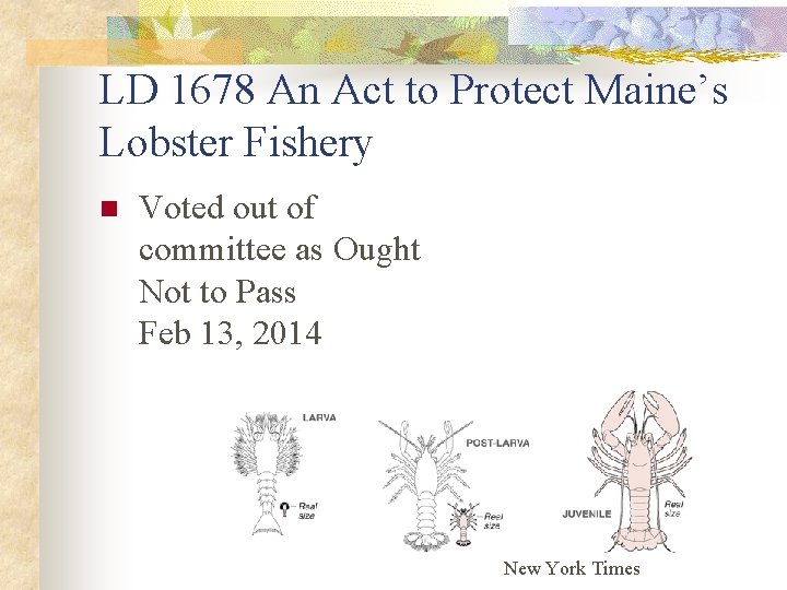 LD 1678 An Act to Protect Maine’s Lobster Fishery n Voted out of committee