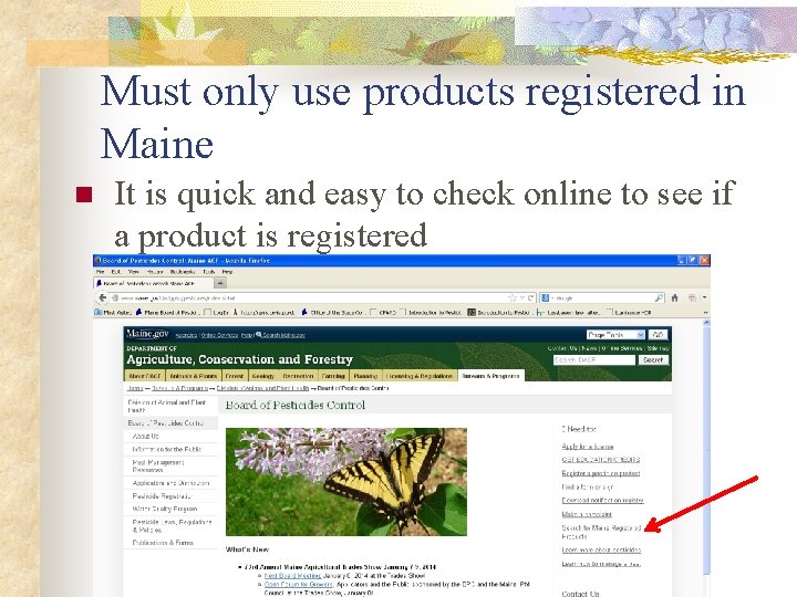 Must only use products registered in Maine n It is quick and easy to