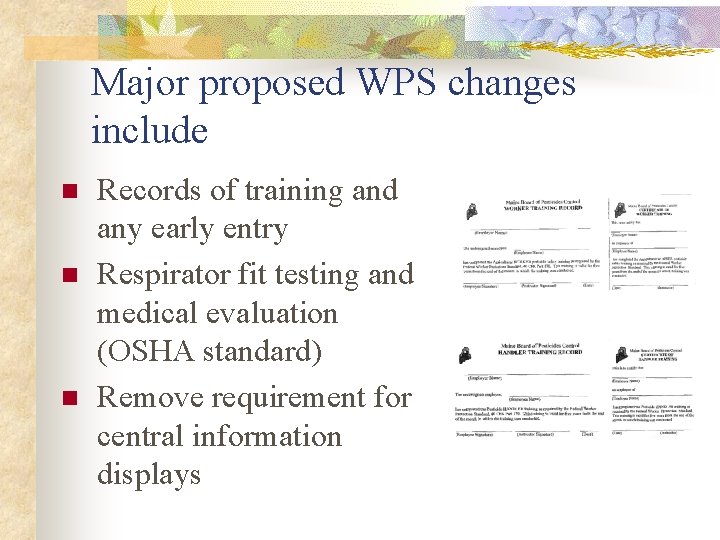 Major proposed WPS changes include n n n Records of training and any early